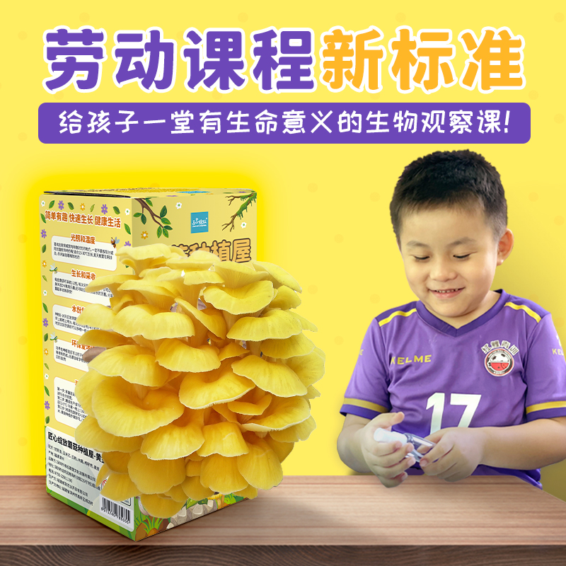 蘑菇种植可食用美味趣味