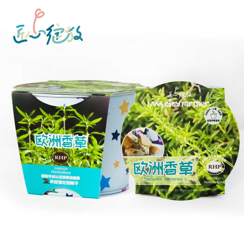 iam园艺 欧洲香草迷你室内可食用香草净化空气家庭绿植儿童小盆栽