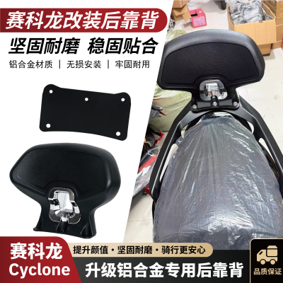 赛科龙RT2RT3RT3RT250E靠背