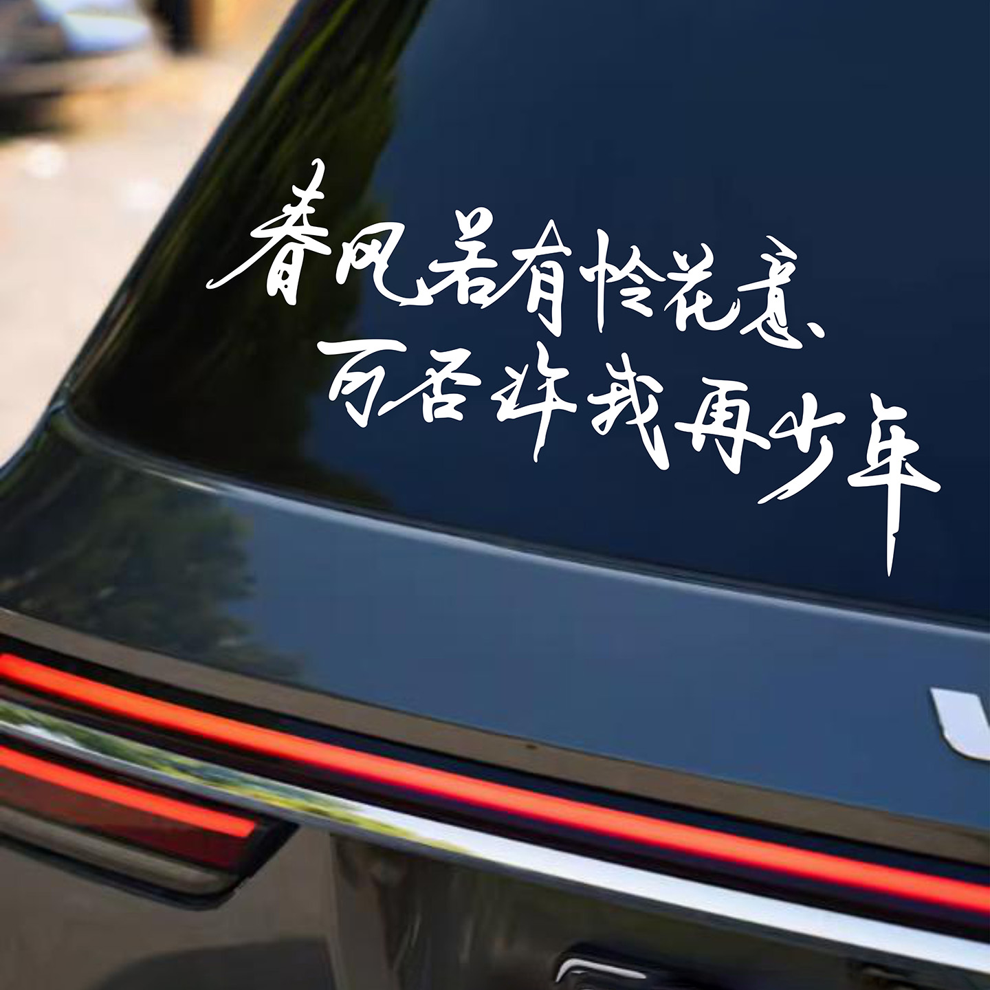 春风若有怜花意文字车贴装饰车门后挡风创意励志个性文字汽车贴纸