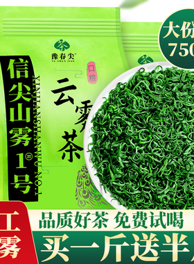 2025新茶云雾绿茶茶叶嫩芽高山云雾明前特级炒青浓香耐泡实惠袋装