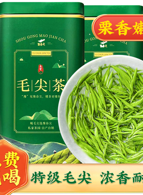 2025明前新茶特级毛尖500g手工茶浓香型散装绿茶嫩芽信阳茶叶罐装
