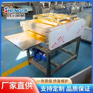 全自动多头喷淋粽叶清洗机箬竹叶毛刷清洗设备粽子叶生产线