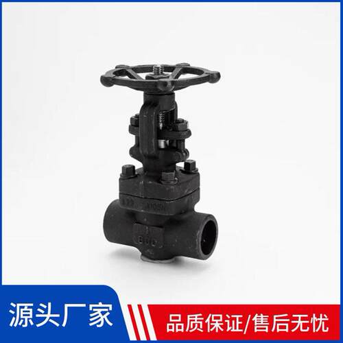 Z61Y-800LB F304L锻钢闸阀 美标承插焊DN15-50 电站温压 现货