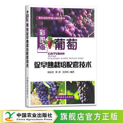 葡萄栽培果园种植业农业经济
