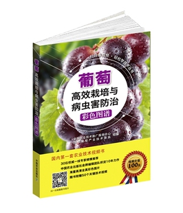 葡萄高效栽培与病虫害防治彩色图谱（扫码看视频· 轻松学技术丛书）全国农业技术推广服务中心 国家葡萄产业技术体系 定价69元