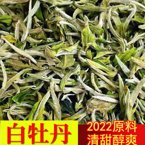 【2022白牡丹】福鼎白茶牡丹散装茶叶正宗白茶福鼎白牡丹头春散茶