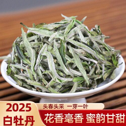 【特级牡丹王】2025年福鼎白茶头春头采牡丹王散茶礼盒装茶叶500g