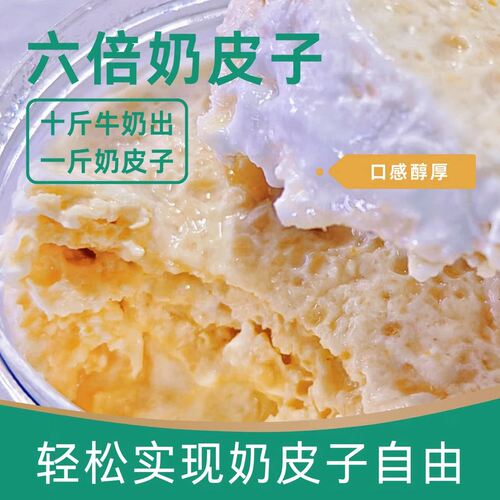 牛尔奶皮子酸奶特产内蒙古老酸奶古法工艺多层皮子手工奶皮零食