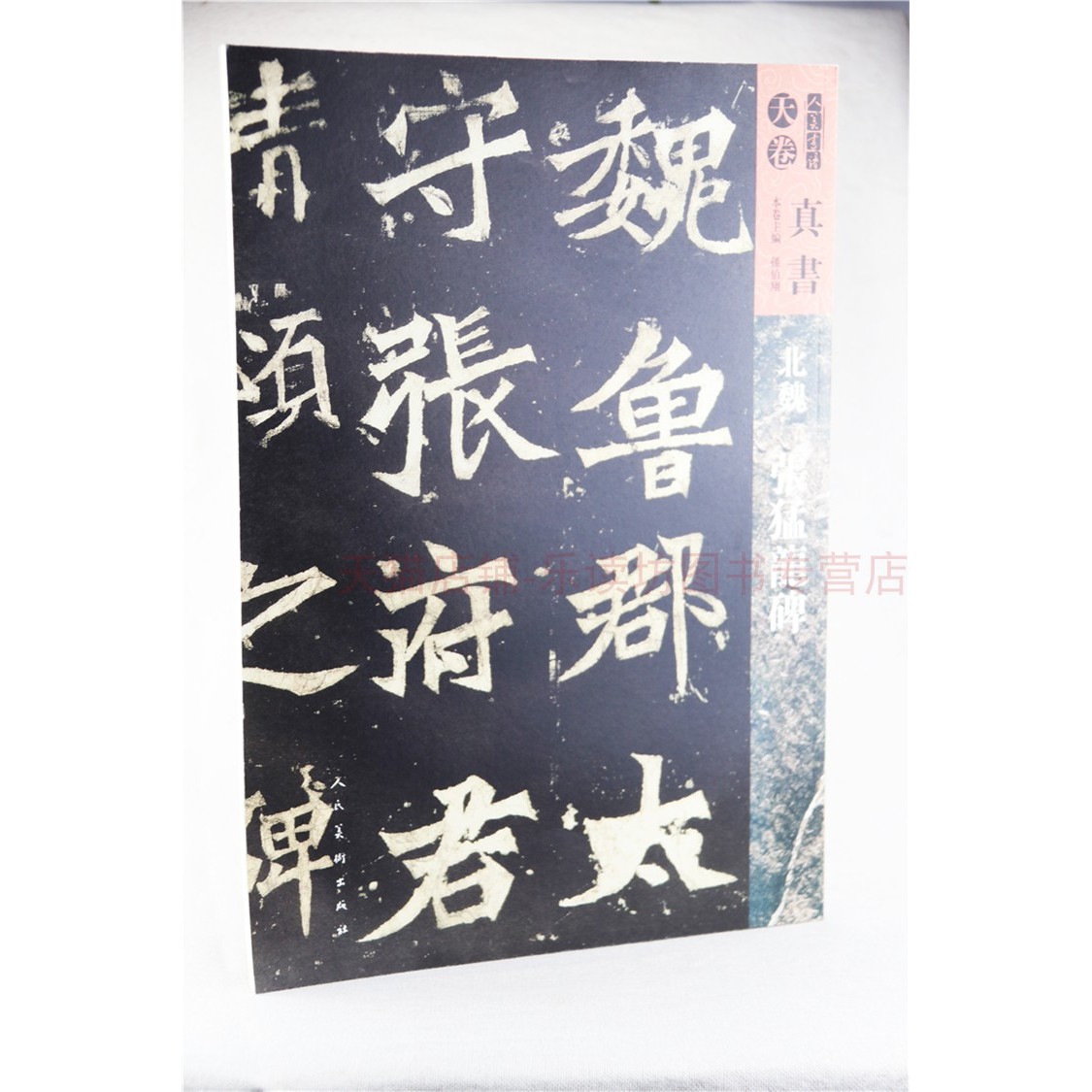 人美书谱-天卷-真书-北魏张猛龙碑 孙伯翔 人民美术出版社 新华书