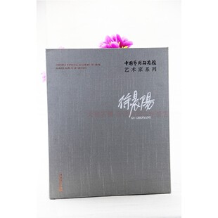 中国艺术研究院艺术家系列:徐晨阳 连辑 工艺美术 名家画集 艺术
