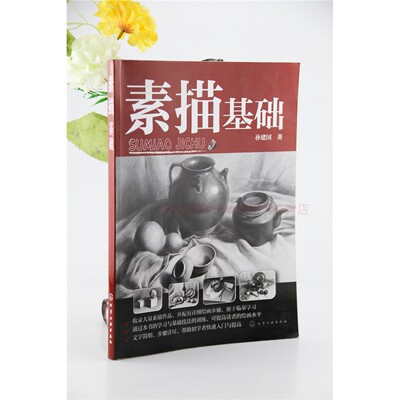 素描基础 孙建国 素描零基础初自学入门教程材书籍 铅笔手绘画画
