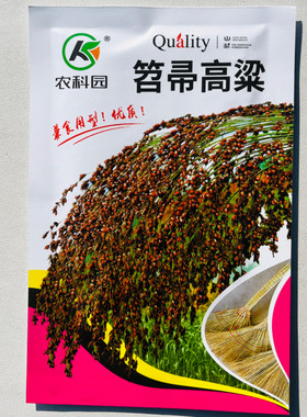 家用笤帚高梁种子穗大粒大长杆耐旱耐碱抗病适应性广高产红高粱籽