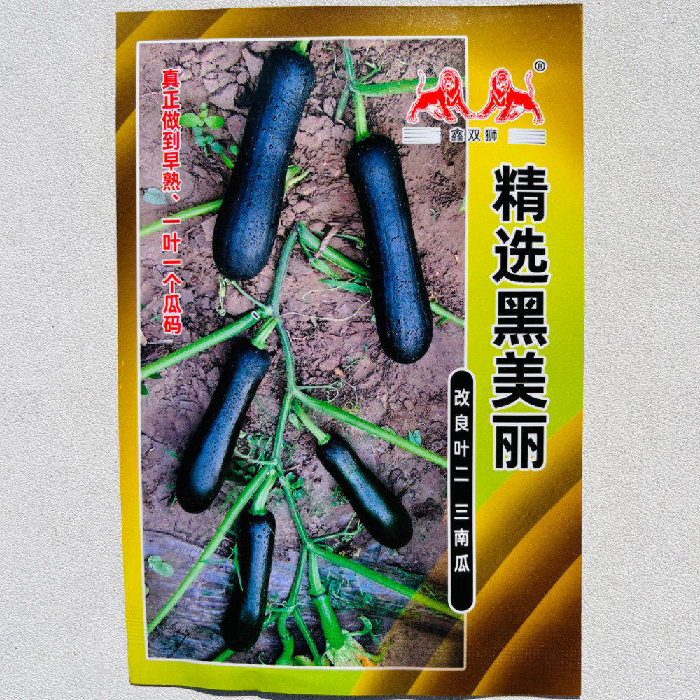 黑皮七叶早南瓜种子特早熟黑皮长南瓜种子倭瓜种子好吃面甜蔬菜籽