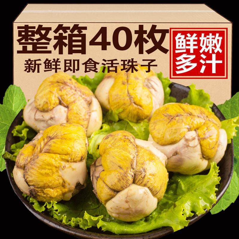 活珠子新鲜13天五香味毛蛋鸡胚蛋20枚开 袋即食熟钢化凤凰蛋毛鸡,零食/坚果/特产,鸡肉零食,淘宝优惠券,粉丝福利购,淘宝优惠卷