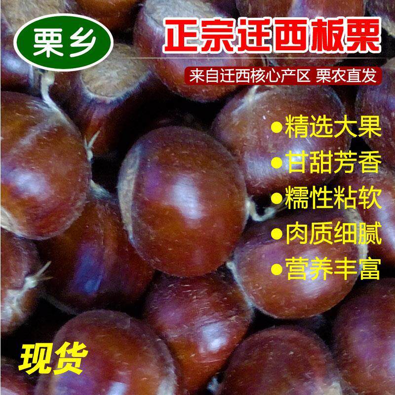 2025正宗迁西板栗生新鲜紫玉大粒3斤5斤唐山油栗毛粟子2500g