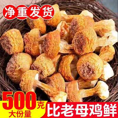 姬松茸新货特产松茸菌干货煲汤