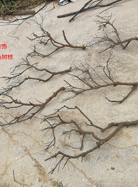 干树枝去皮原木树干枯树枝带分枝带杈树枝室内挂灯干花插花瓶装饰