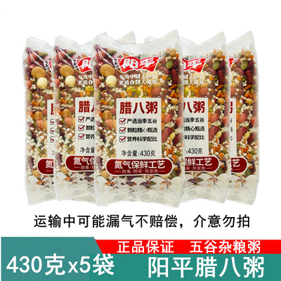 5袋 阳平腊八粥430克*5袋 杂粮粥八宝粥喝汤粥 充氮保鲜
