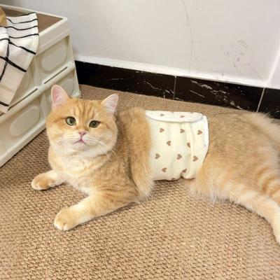 猫咪衣服秋冬纯棉护肚围换季免着凉防拉肚子中大型犬肚兜猫狗通用