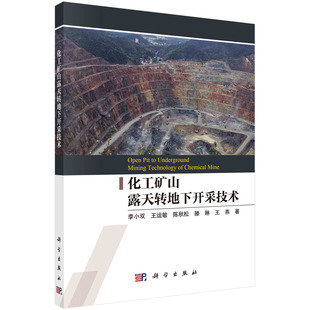 化工矿山露天转地下开采技术 李小双等科学出版社9787030716682正版书籍
