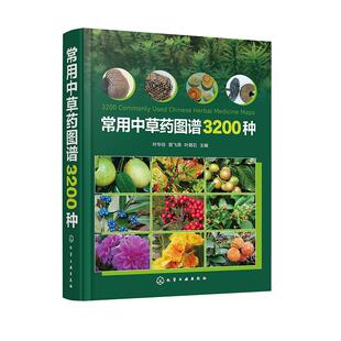 社9787122475275正版 化学工业出版 书籍 叶华谷曾飞燕叶育石 常用中草药图谱3200种