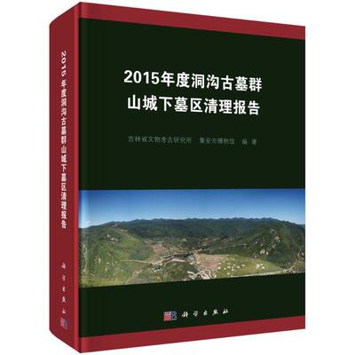 正版书籍 2015年度洞沟古墓群山城下墓区清理报告 安文荣，董峰