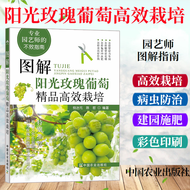 图解阳光玫瑰葡萄精品高效栽培 杨治元 葡萄种植栽培养护技术葡萄种植施肥种植葡萄病虫害防治彩图版阳光玫瑰葡萄栽培技术书籍