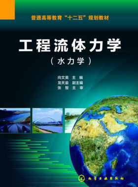 正版  工程流体力学（水力学）(向文英)  向文英  龙天渝   教材 研究生/本科/专科教材 理学书籍  化学工业出版社