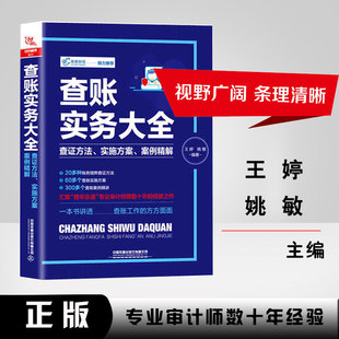 正版书籍 查账实务大全:查证方法实施方案案例精解 王婷新手学会计操作实务实操技巧大全审计税务财务报表分析账目管理入门到精通
