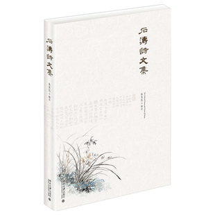 正版书籍 石涛诗文集 朱良志北京大学出版社9787301280461