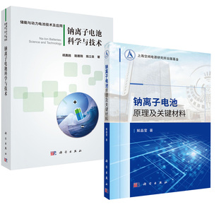 钠离子电池原理及关键材料 全2册 钠离子电池科学与技术电池材料电芯储能原理先进技术性能物理电化学能源基础理论研究应用