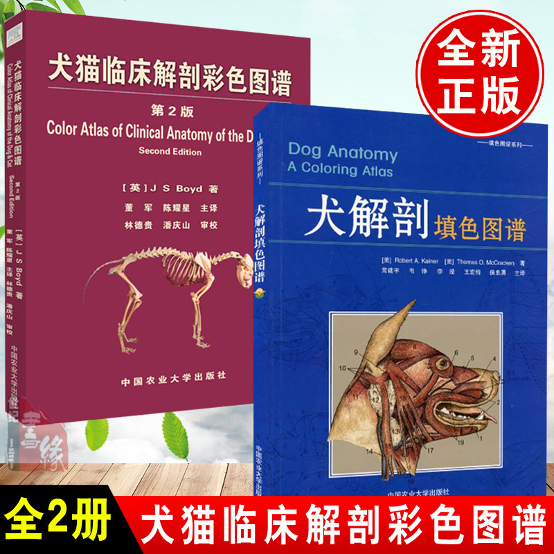 【全2册】犬猫临床解剖彩色图谱 犬解剖填色图谱小动物解刨学图解犬