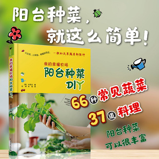 传神 申艳著 中国水利水电出版 正版 家居 幸福农场：阳台种菜DIY 我 朴熙兰 家庭园艺书籍 社