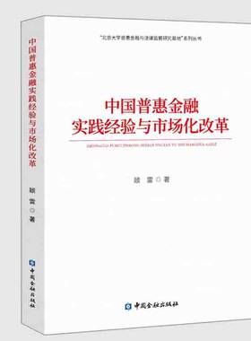 正版书籍 中国普惠金融实践经验与市场化改革 北京大学普惠金融与法律监管研究基地系列丛书顾雷著金融贷款平台助贷市场风险防范