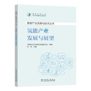 氢能产业发展与技术丛书 氢能产业发展与展望 中国电力企业联合会氢能分会 组编 刘玮中国电力出版社9787523902844正版书籍