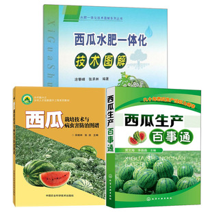 全新正版 正版书籍 西瓜种植技术书 西瓜栽培技术与病虫害防治图谱 西瓜病虫害防治方法西瓜高产高效栽培新技术西瓜种植甜瓜高效栽