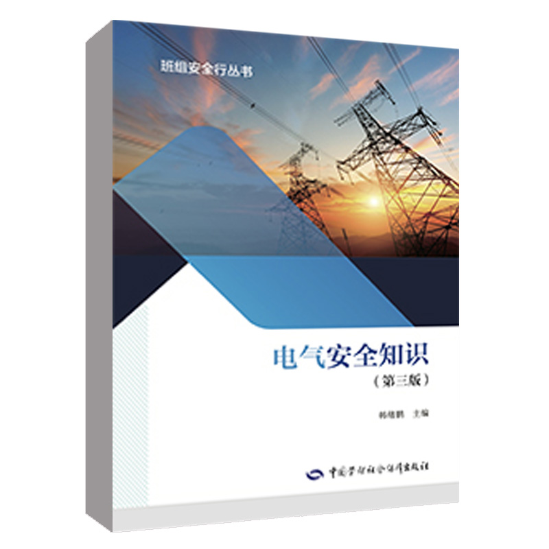 正版书籍 电气安全知识（ 三版）班组安全行丛书中国劳动社会保障出版社9787516758861