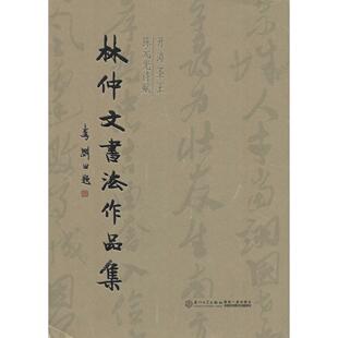 正版书籍 林仲文书法作品集:开漳圣王陈元光诗赋 林仲文厦门大学出版社9787561550922