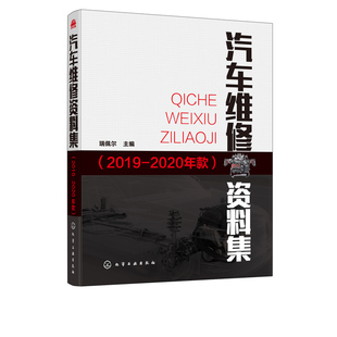 2020年款 正版 2019 汽车维修资料集 瑞佩尔汽车维修汽车维护与保养大众别克雪佛兰凯迪拉克丰田本田福特比亚迪车型维修资料 书籍