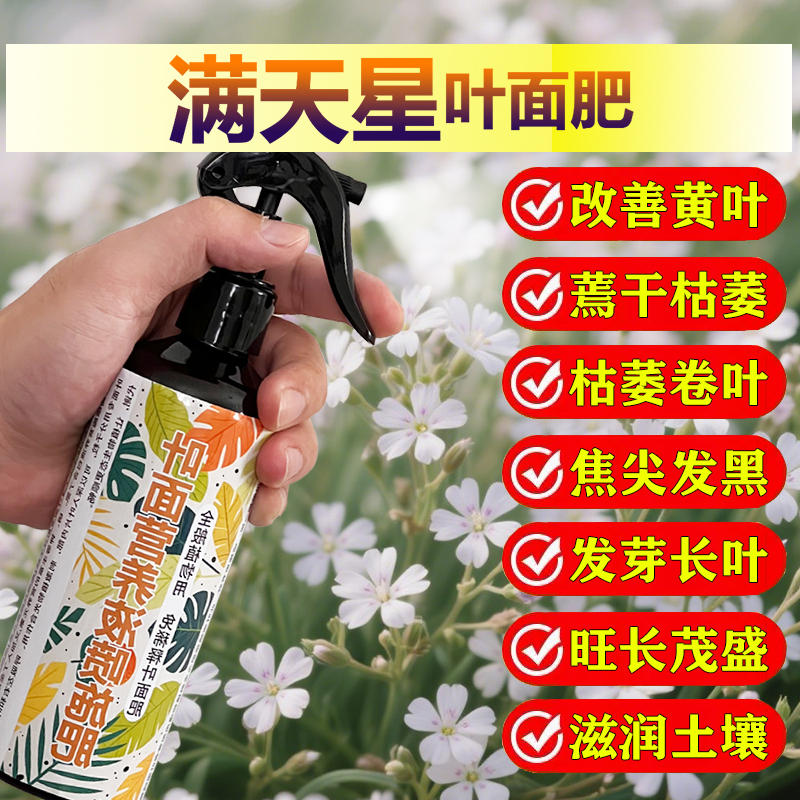 满天星专用肥料花肥满天星专用土满天星专用营养液叶面肥颗粒肥料