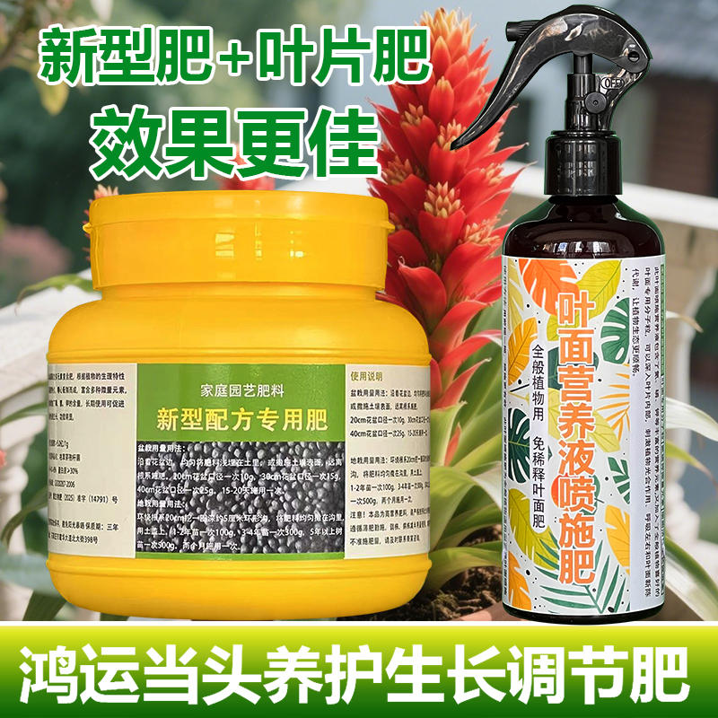 鸿运当头专用肥料绿植营养液叶子黄叶卷缩干枯萎尖变黑焦叶面肥料