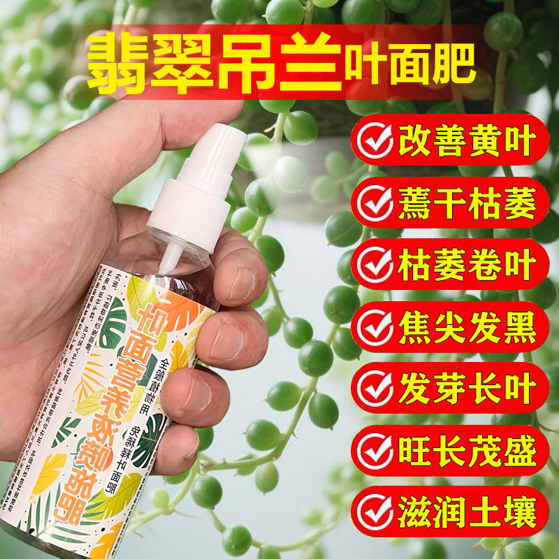 翡翠吊兰专用肥料盆栽钻石金边营养液叶子发黄黑斑蔫软掉叶面肥料