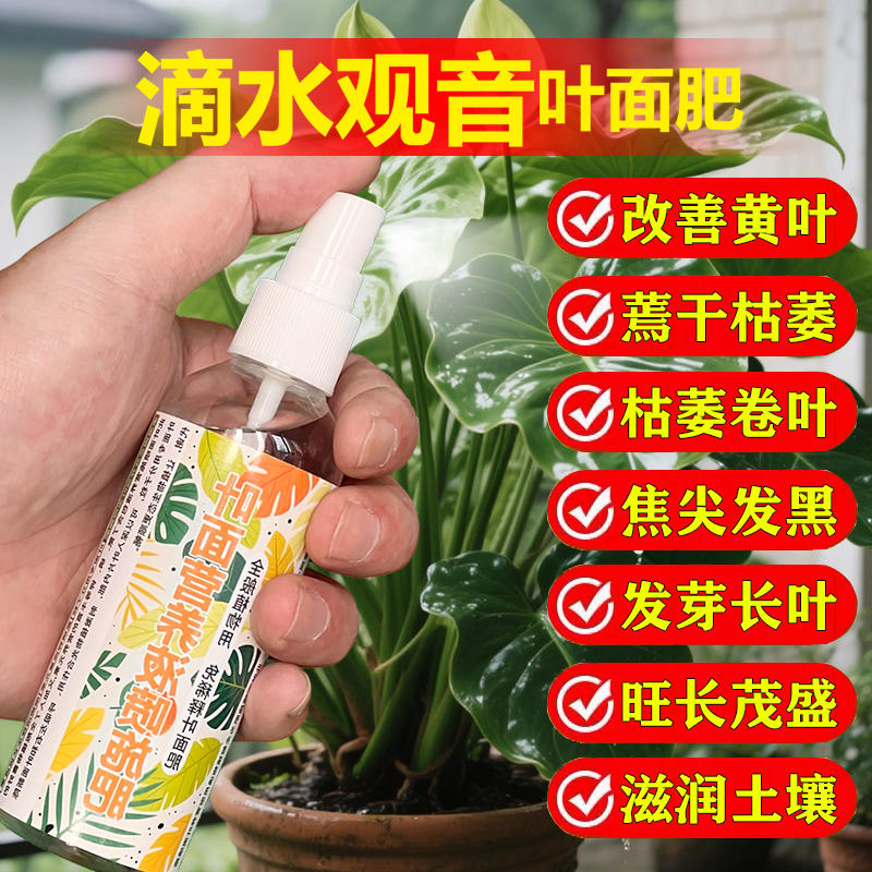 滴水观音专用肥料绿植物水培土培营养液叶面肥氮磷钾肥水溶化肥料