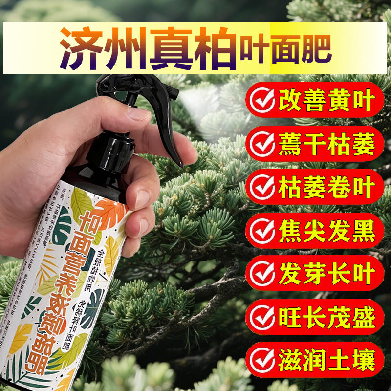 济州真柏专用肥料树苗盆景土壤复合营养液氮磷钾有机肥水溶化肥料