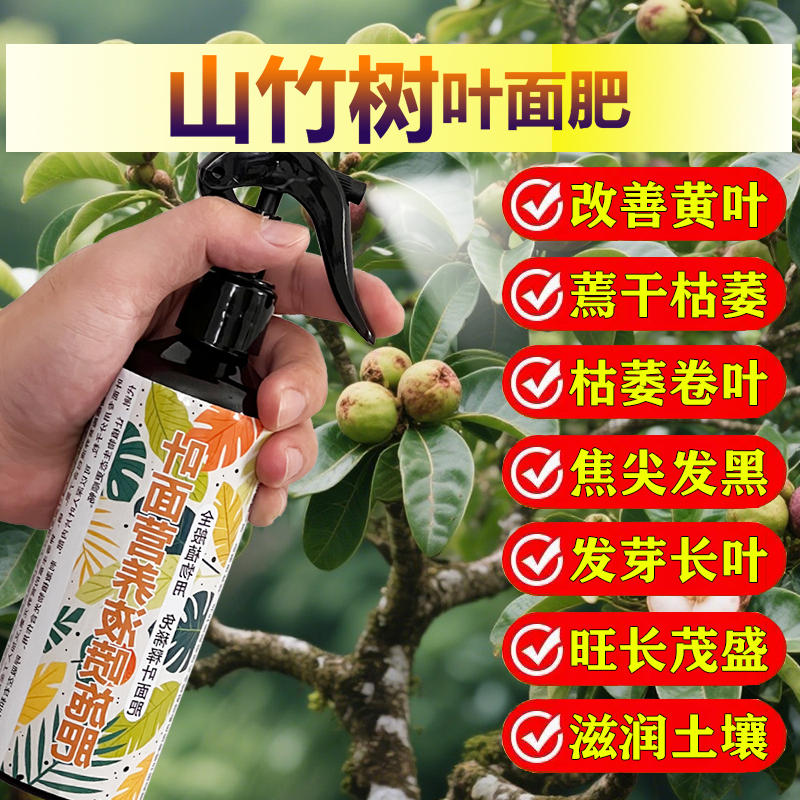 山竹树专用肥料盆栽种植山竹果树苗营养液氮磷钾颗粒浓缩有机肥料