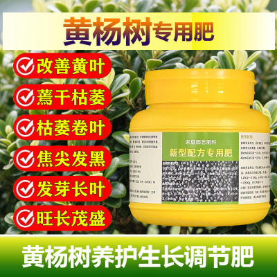 黄杨树苗肥料花肥专用肥营养液瓜子黄杨木养料化肥复合有机肥老桩