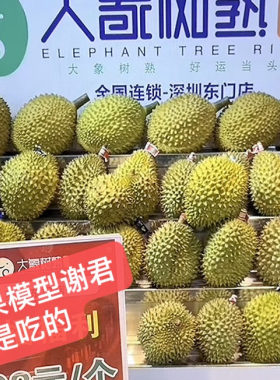 假水果仿真榴莲大金枕山竹车厘子