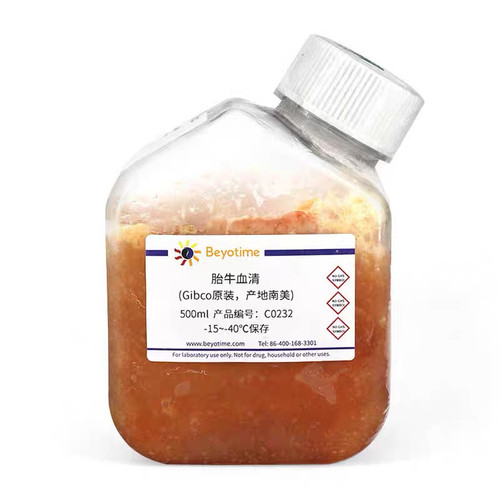 胎牛血清(Gibco原装, 产地南美)碧云天