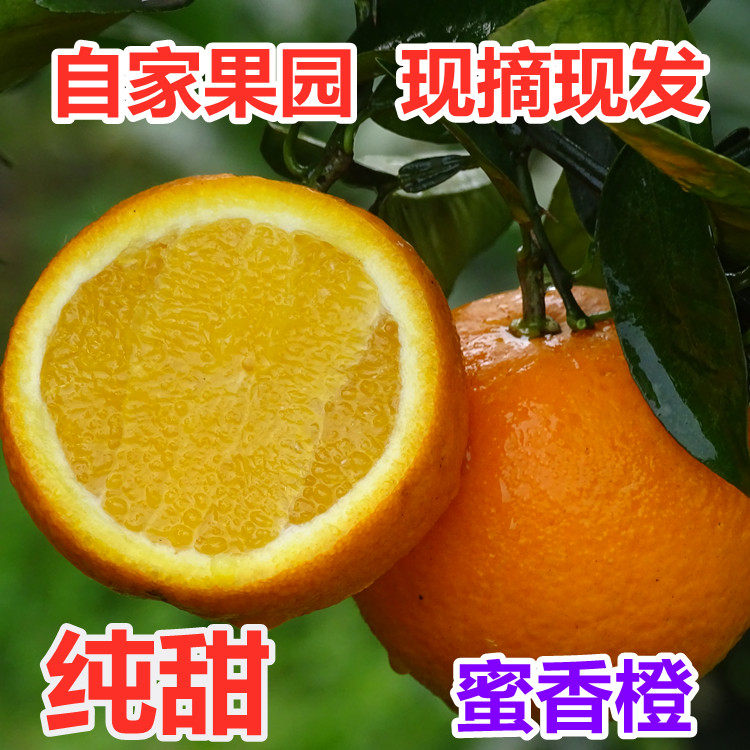 广西桂林蜜香橙蜂蜜橙纯甜橙子埃及橙当季现摘新鲜水果,水产肉类/新鲜蔬果/熟食,橙,淘宝优惠券,粉丝福利购,淘宝优惠卷